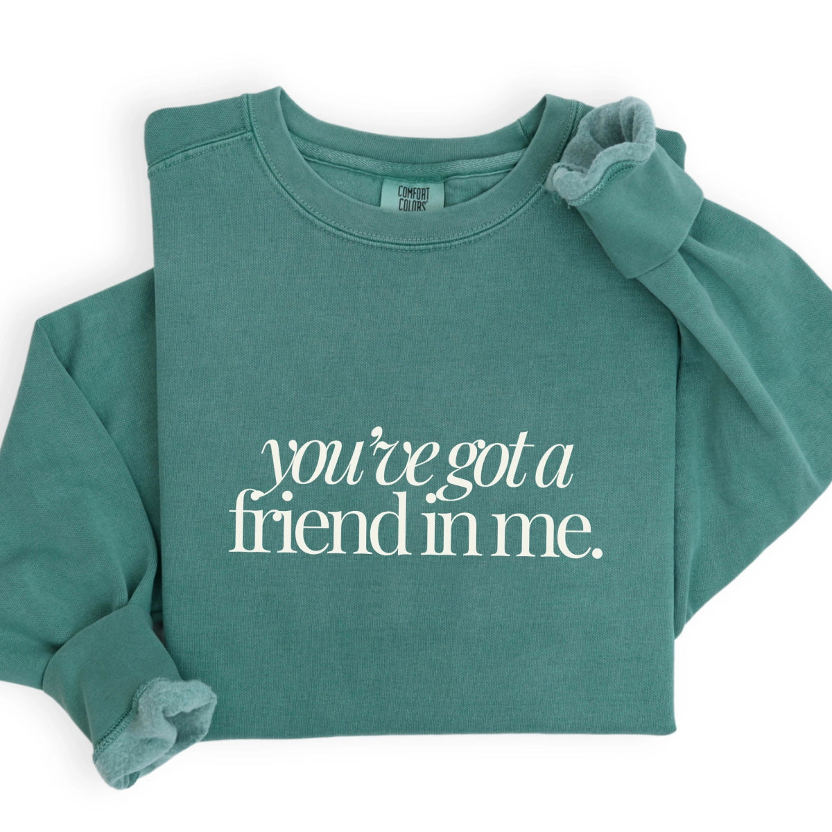 Park Chic Apparel, LLC | Friend in Me Sweatshirt - Adult Crew Tee