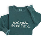 Park Chic Apparel, LLC | Friend in Me Sweatshirt - Adult Crew Tee