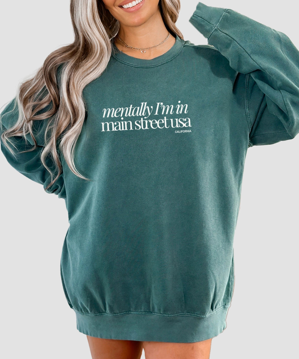 Park Chic Apparel, LLC | Main Street Sweatshirt - Adult Sweatshirt