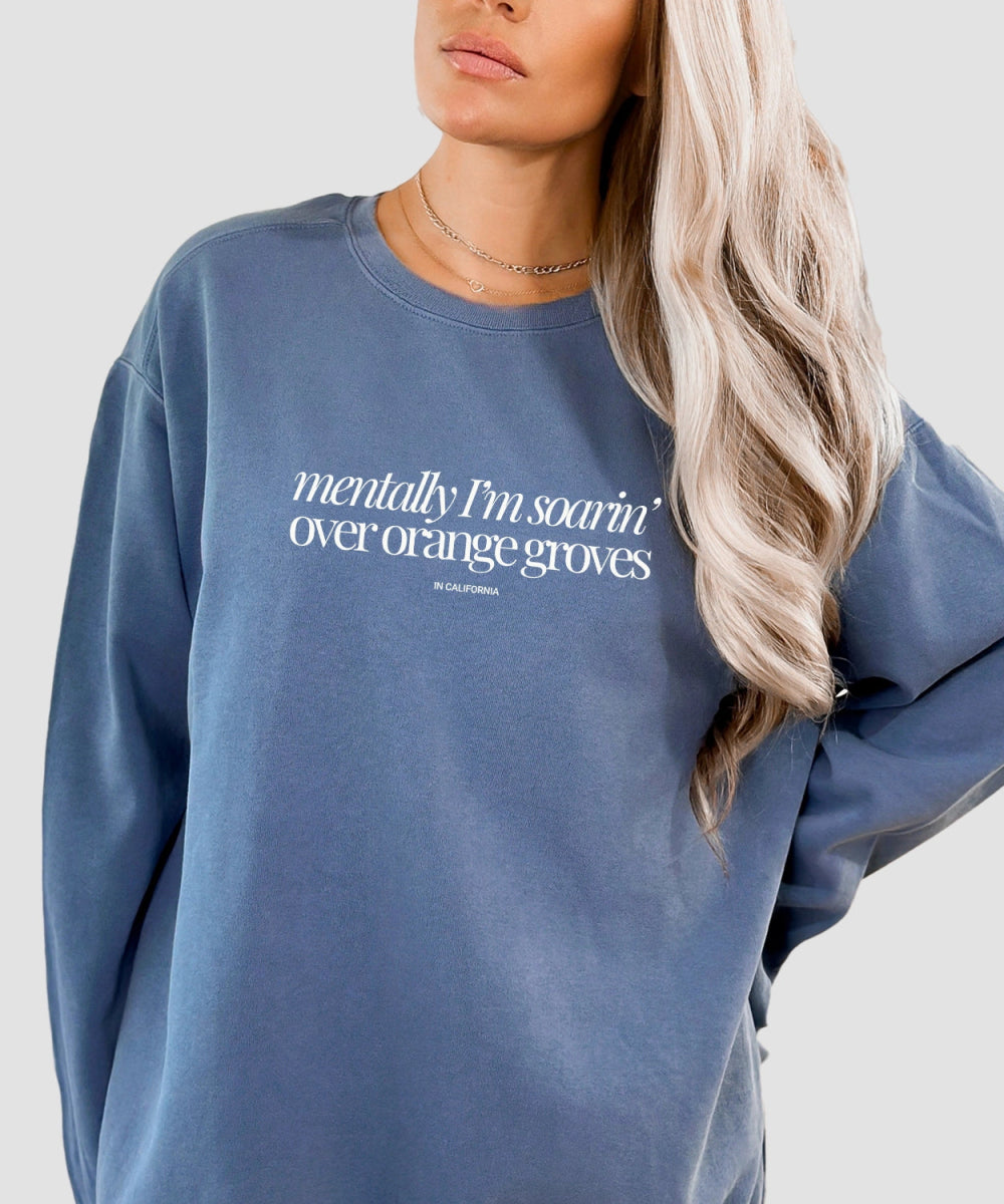 Park Chic Apparel, LLC | Mentally I'm Soarin' Sweatshirt - Adult Sweatshirt