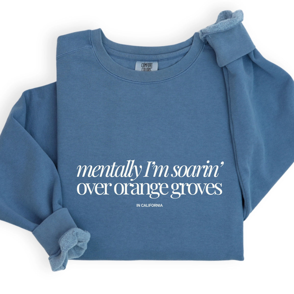 Park Chic Apparel, LLC | Mentally I'm Soarin' Sweatshirt - Adult Sweatshirt