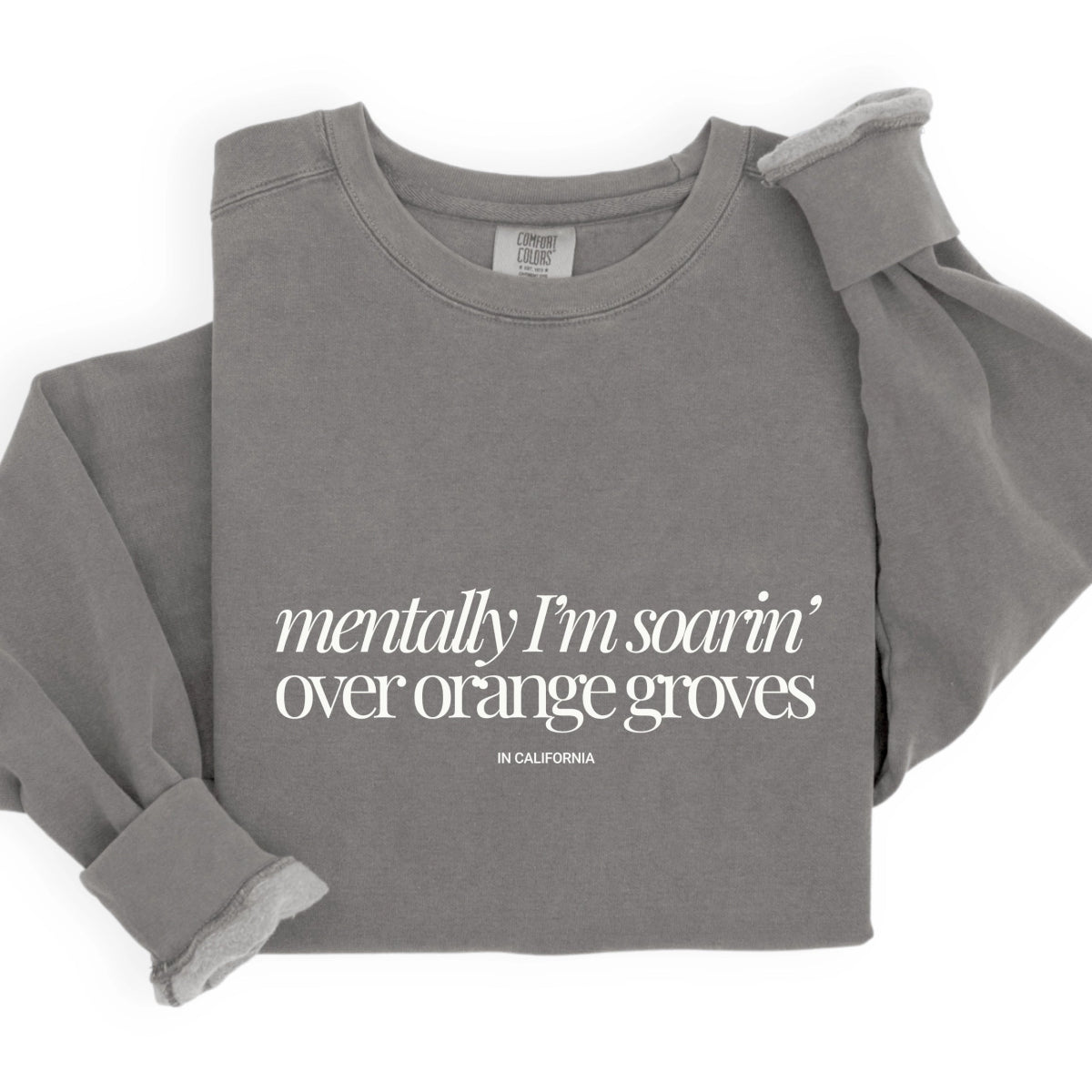 Park Chic Apparel, LLC | Mentally I'm Soarin' Sweatshirt - Adult Sweatshirt