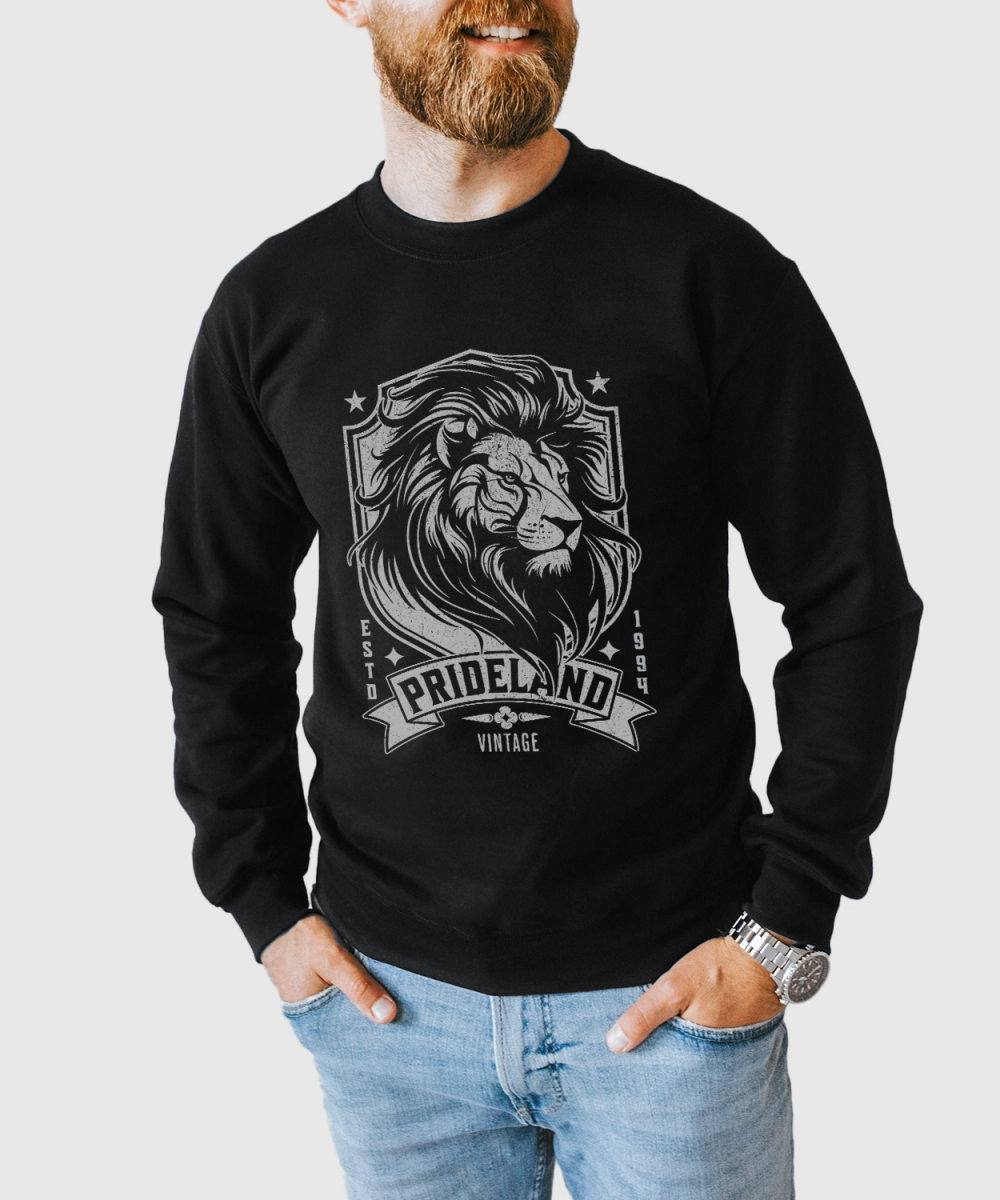 Park Chic Apparel, LLC | Prideland Vintage Sweatshirt - Adult Sweatshirt